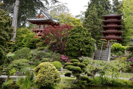 Golden Gate Park's Japanese Garden – Classics.Life